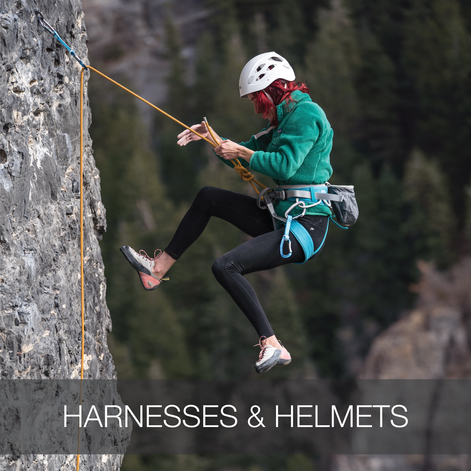Harnesses